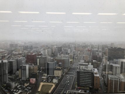 久々の雨降りに本屋に行く